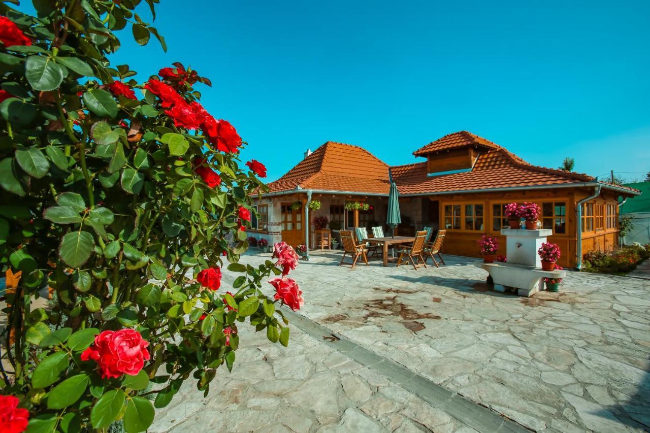 Villa Seosko Turisticko Domacinstvo Radivojevic *