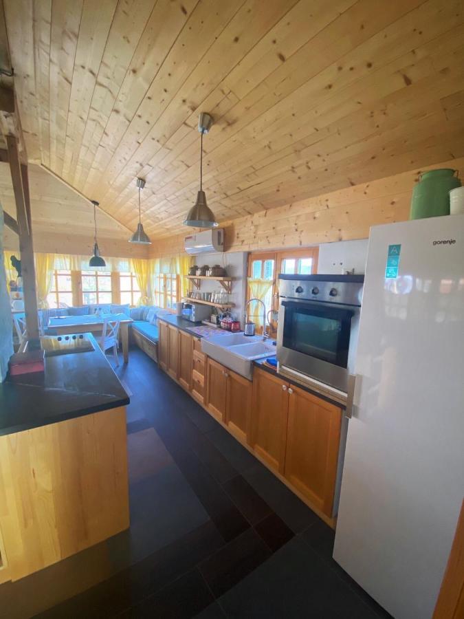 Villa Seosko Turisticko Domacinstvo Radivojevic